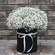 Цветочная композиция из Гипсофила в шляпной коробке #REPLACE_PRED# Муриково