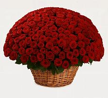 Премиум букет из: Розы #REPLACE_PRED# Муриково