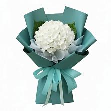 Букет цветов из:  Гортензия в Муриково
